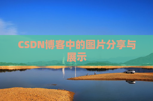 CSDN博客中的图片分享与展示